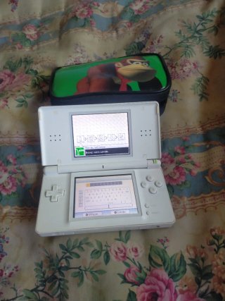Consola Nintendo DS Blanca confunda y sin cargador