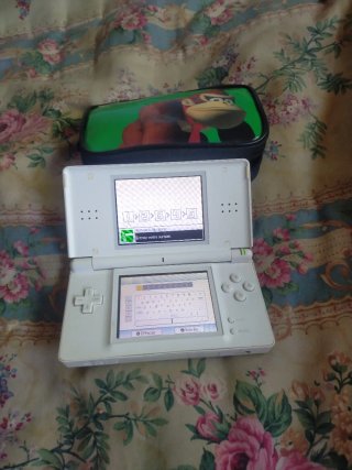 Consola Nintendo DS Blanca confunda y sin cargador