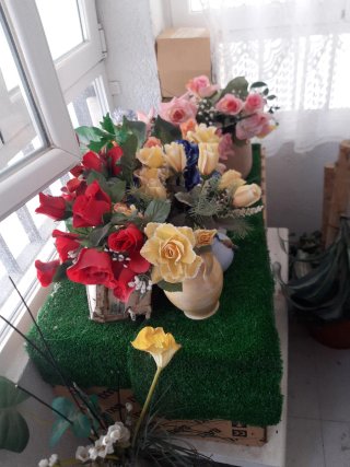 LIQUIDACION DE TODAS MIS PLANTAS