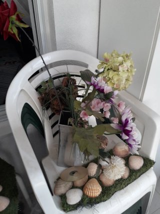 LIQUIDACION DE TODAS MIS PLANTAS