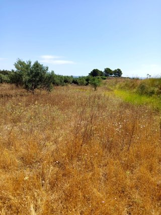 Alquiler parcela para huerto