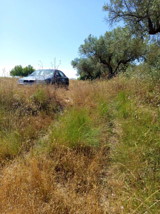 Alquiler parcela para huerto