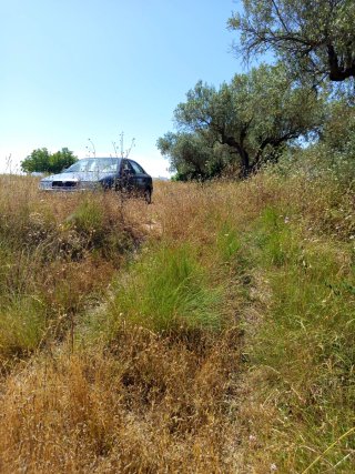 Alquiler parcela para huerto