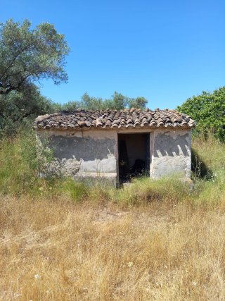 Alquiler parcela para huerto