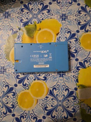 Nintendo DSi Azzurra con Caricatore