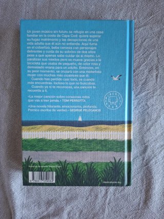 Esta canción me recuerda a mí una novela