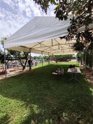 Carpa Blanca 6x12 metros