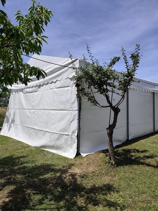 Carpa Blanca 6x12 metros