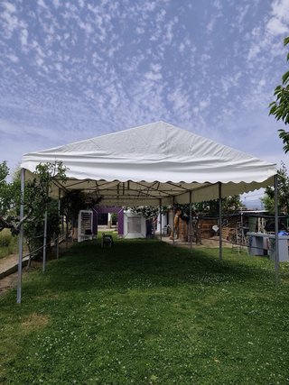 Carpa Blanca 6x12 metros