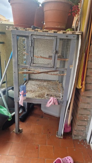Jaula para pájaros de acero