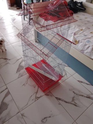 Jaula para pájaros roja y blanca