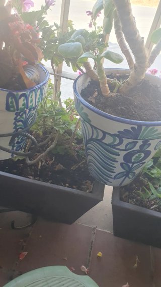 Macetas de cerámica granadina