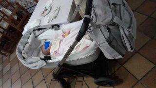 Bolso carro Inglesina Aptica como nuevo +cambiador