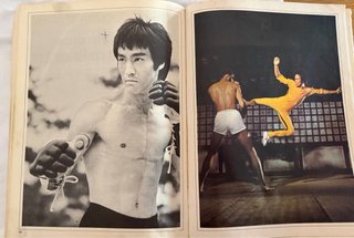 Revista bruce lee