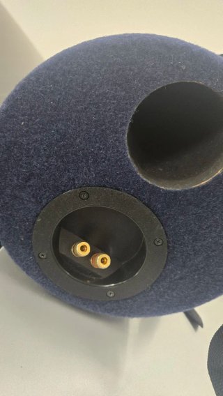 Subwoofer Nashville 91 Zoom 20