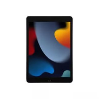 iPad 9ª Gen 256GB