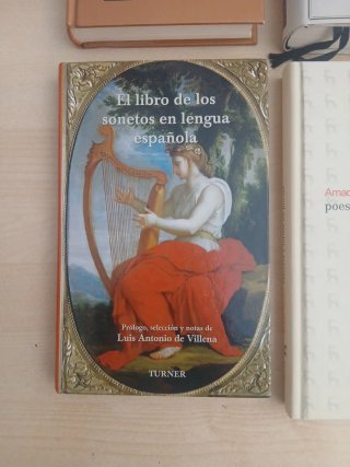 LOTE: Poesia española