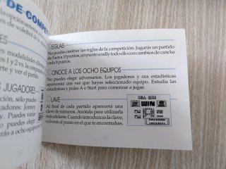 WORLD BEACH VOLLEY PAL ESPAÑA NINTENDO GAME BOY