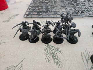 Warhammer Age of Sigmar Darkoath - Varias Unidades