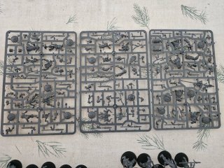 Warhammer Age of Sigmar Darkoath - Varias Unidades