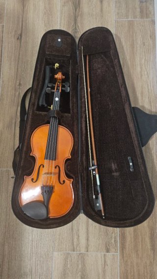Viola de 12 con funda y arco