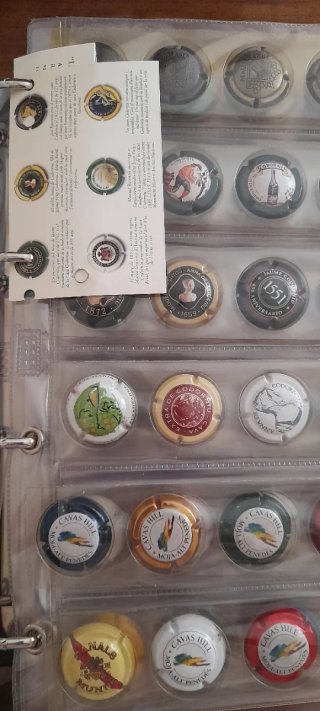 Colección 720 chapas/placas Cava + 3 Álbumes