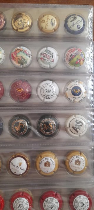 Colección 720 chapas/placas Cava + 3 Álbumes