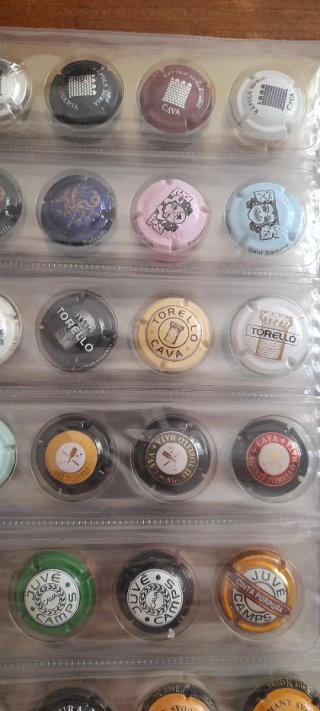 Colección 720 chapas/placas Cava + 3 Álbumes