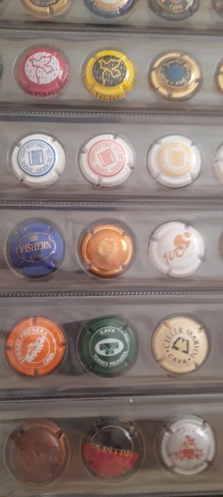 Colección 720 chapas/placas Cava + 3 Álbumes