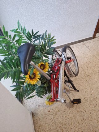 Bicicleta Plegable Monty Aluminio