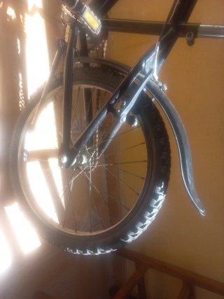 Bicicleta negra