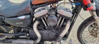Harley Davidson Sportster 883 2006