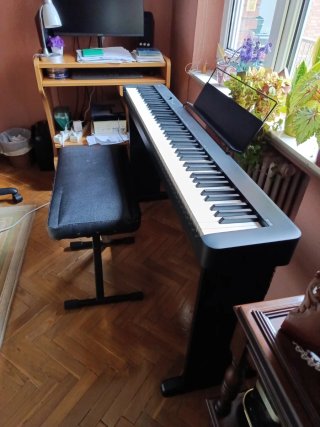 Teclado Clavinova Casio