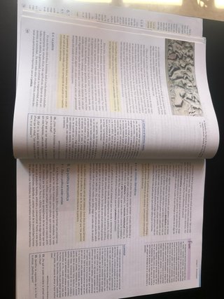 HF, Historia de la filosofía. IES Miguel Servet