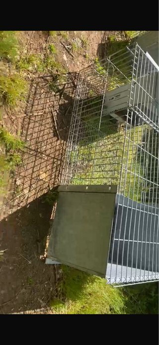 Jaulas para conejos metálicas