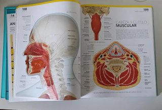 El gran libro del cuerpo humano. Edición actual...