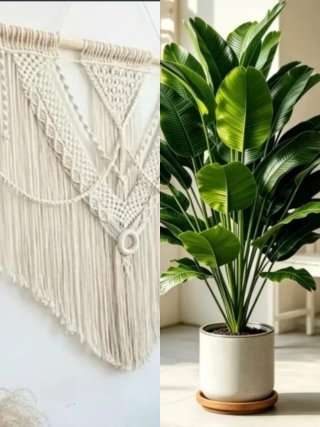 Tapiz Macramé y Planta Artificial