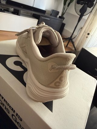 Nike Pegasus Trail 3 Beige/Gris