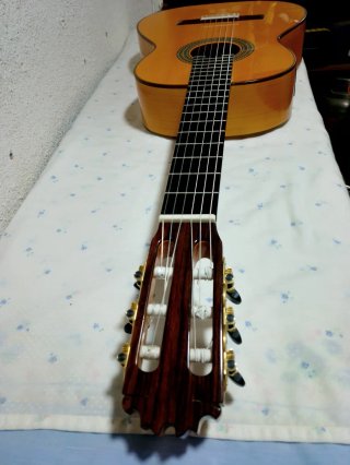 Guitarra Antonio de Toledo Y8 Amplificada
