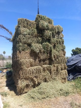 Alfalfa y Raygrass venta a domicilio