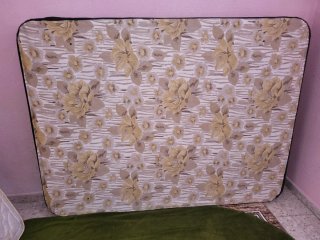 Cama