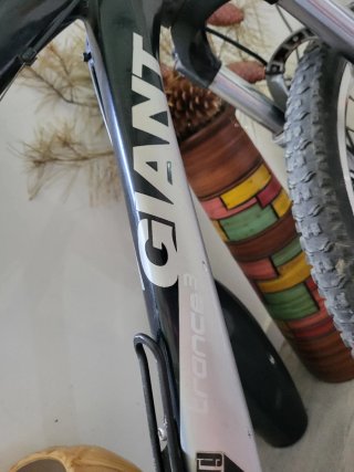 Bicicleta GIANT Bronce 3