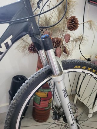 Bicicleta GIANT Bronce 3