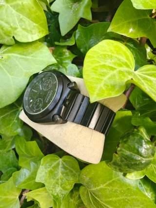 Citizen Bullhead Chronograph Quartz (AN3660-81E)