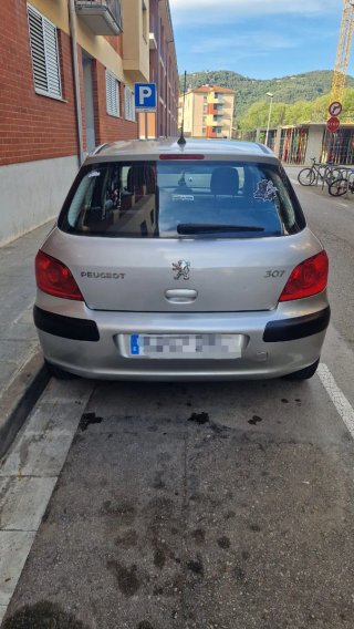 Peugeot 307 2006