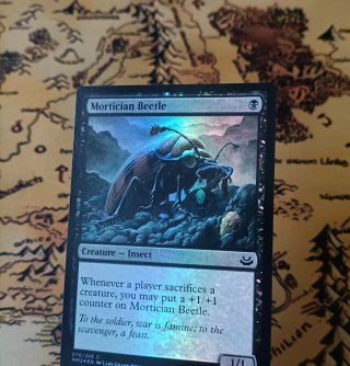 CARTA MAGIC FOIL - MORTICIAN BEETLE
