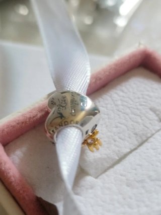 Pandora Charm los bridgeston