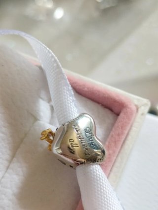 Pandora Charm los bridgeston