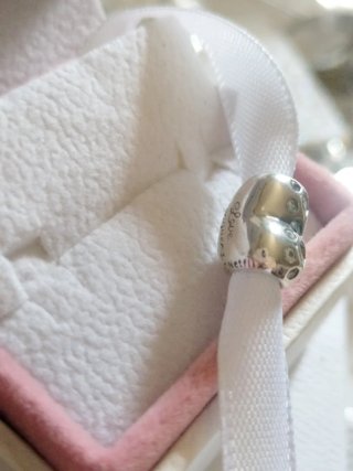 Pandora Charm los bridgeston