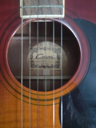 Guitarra Acústica Canvass WB-33 Sunburst